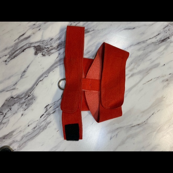 Susan Lanci Dog Harness - Picture 4 of 5